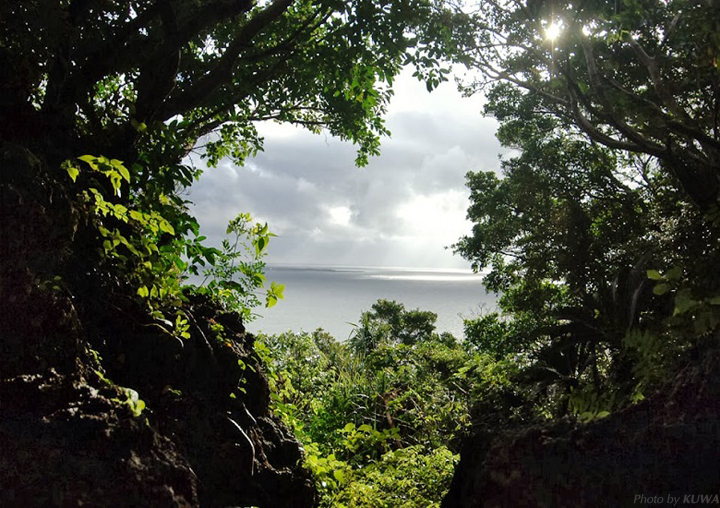 世界遺産・斎場御嶽(せーふぁうたき)からの眺め