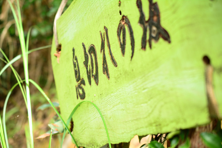 「息切れの坂」