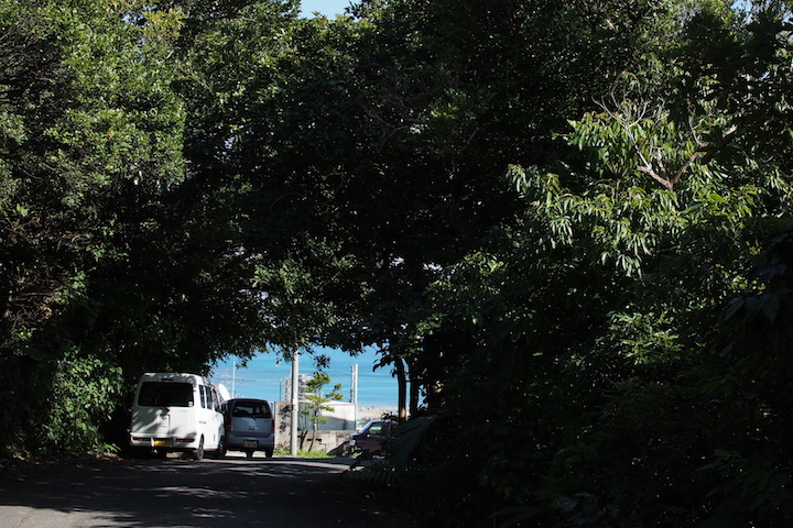 公園東側の道