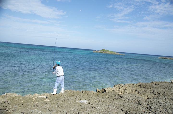 養殖場の目の前に広がる青い海