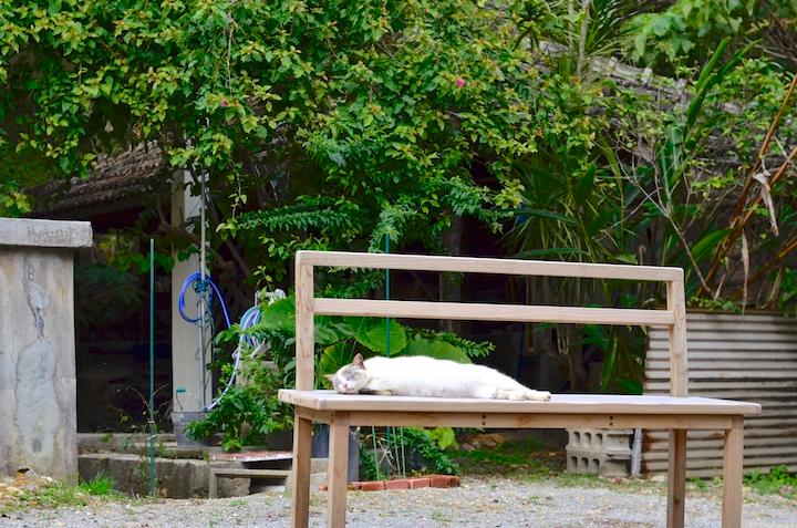 ベンチに寝る「ねこ」