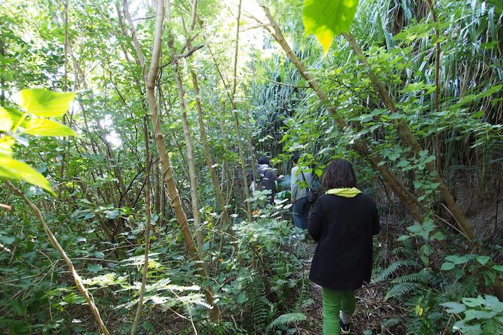 亜熱帯樹林公園