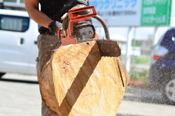 樟（くすのき）