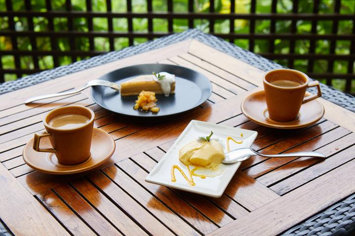 マンゴーパンナコッタ