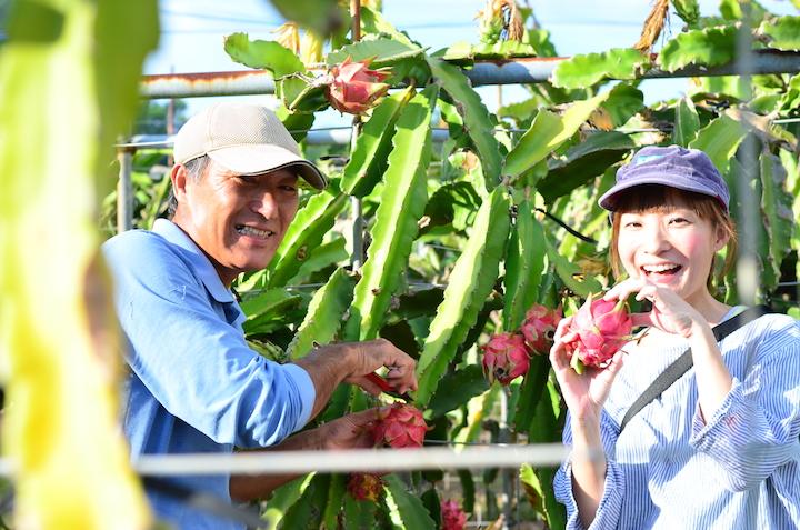 ドラゴンフルーツ