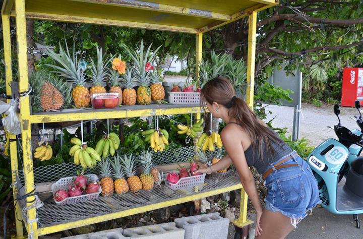 パイナップル他