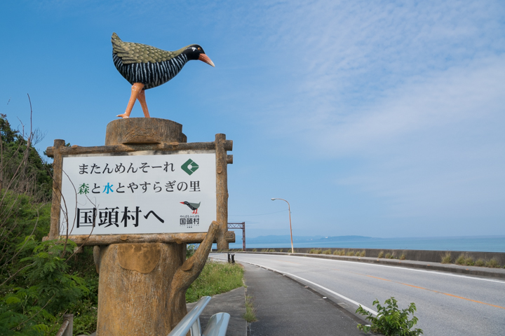 ヤンバルクイナ