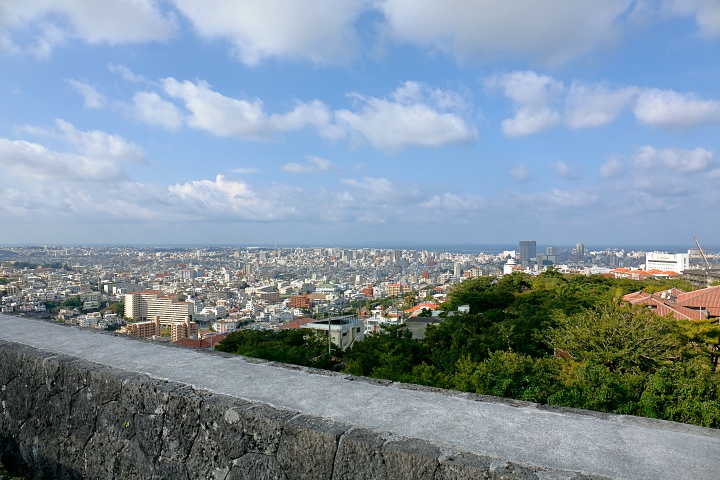 西のアザナからの眺め