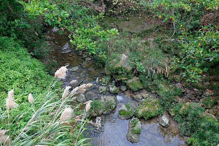 末吉公園（すえよしこうえん）