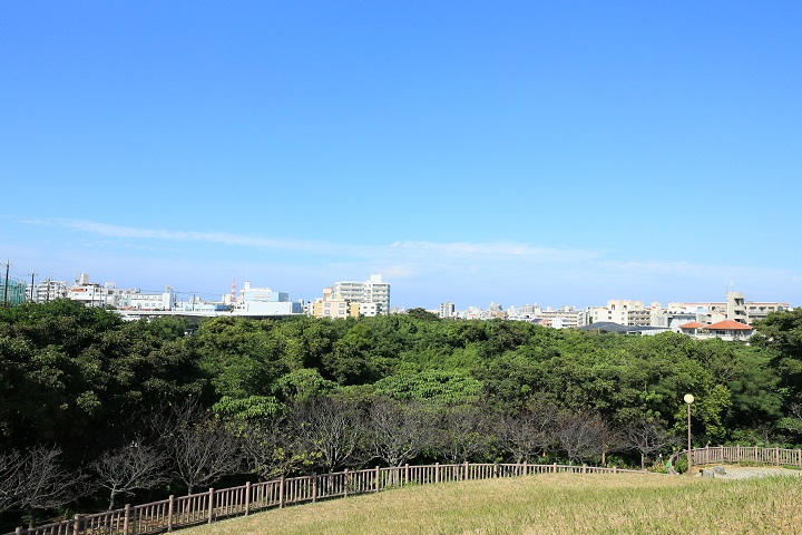 新都心公園