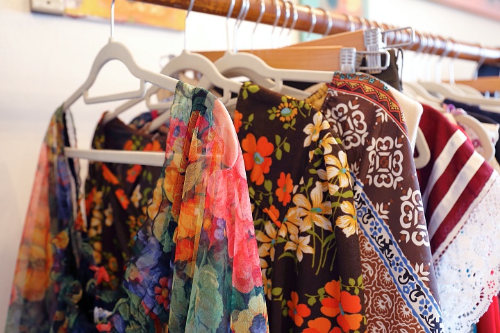 alocasia vintage（アロカシア ヴィンテージ）