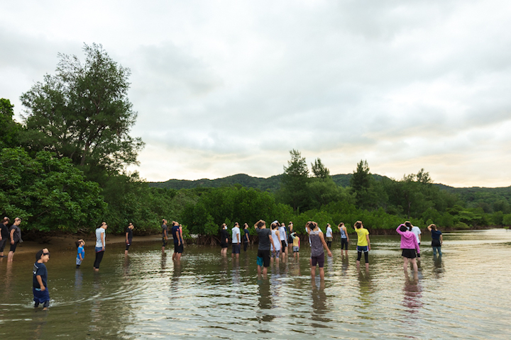 おめざめマングローブストレッチ