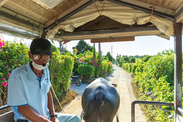 竹富島（たけとみじま）