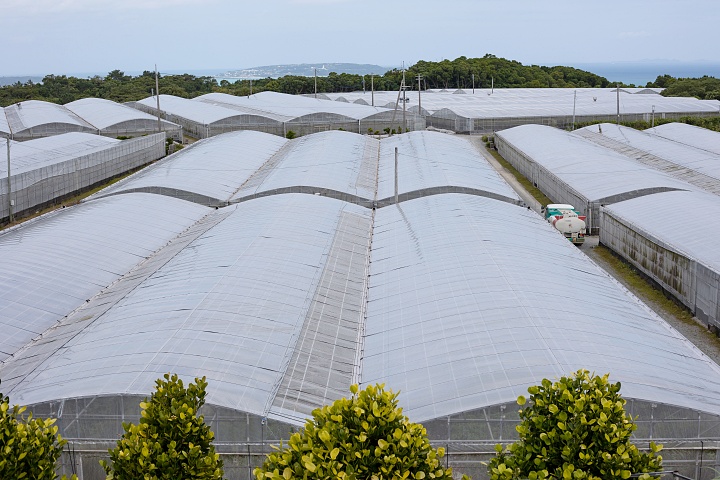 ファインフルーツおおぎみ