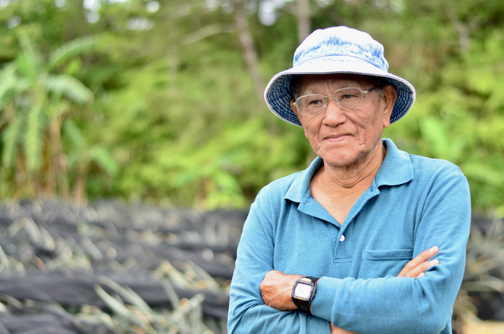 パイナップル農家の師匠、比嘉さん