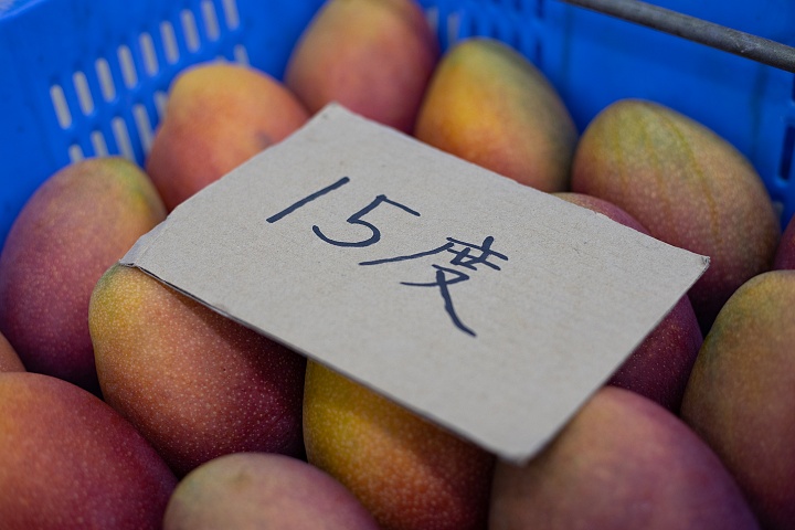 糖度15度のマンゴー「ひめぎみ」