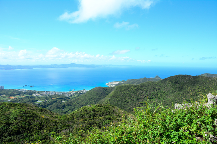 嘉津宇岳