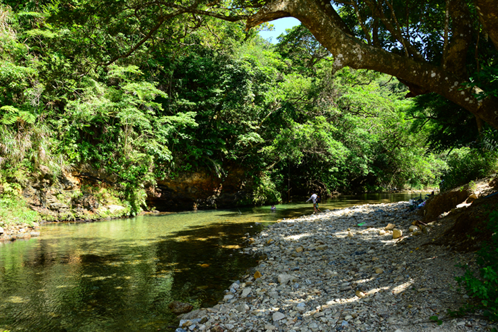 源河川のほとり