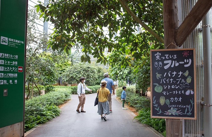 熱帯フルーツ園