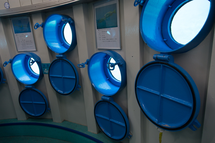 「ブセナ海中公園」の海の中にある海中展望フロア