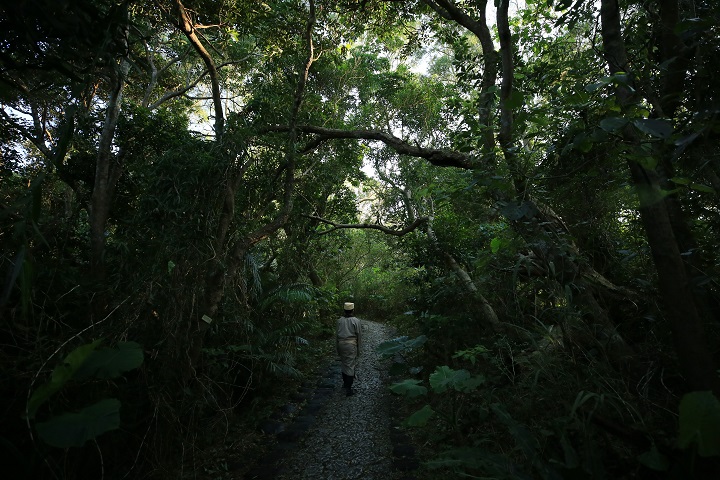 大庫理（ウフグーイ）への道