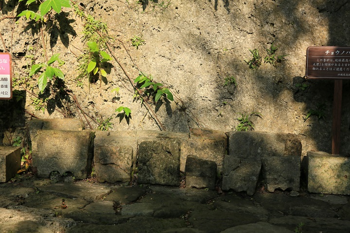 格式が高いとされる拝所チョウノハナ