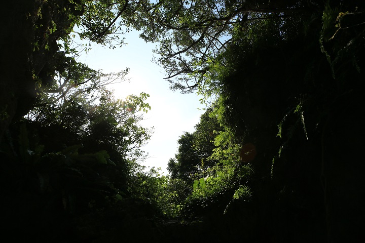 本来はチョウノハナの向かいには久高島が見えます