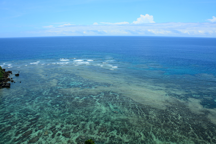 珊瑚礁の風景
