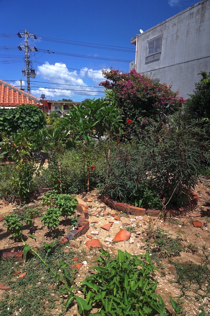 お庭に育つハーブやフルーツなど