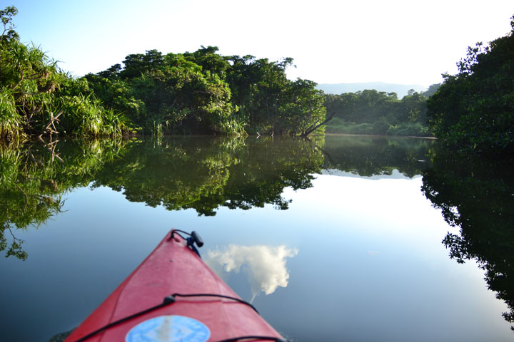 川のほとりに到着。ここからカヌーに乗って出発
