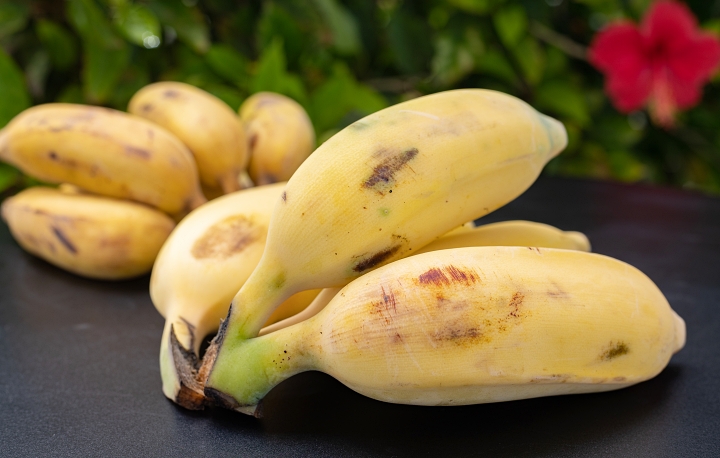 「名護産アップルバナナ」