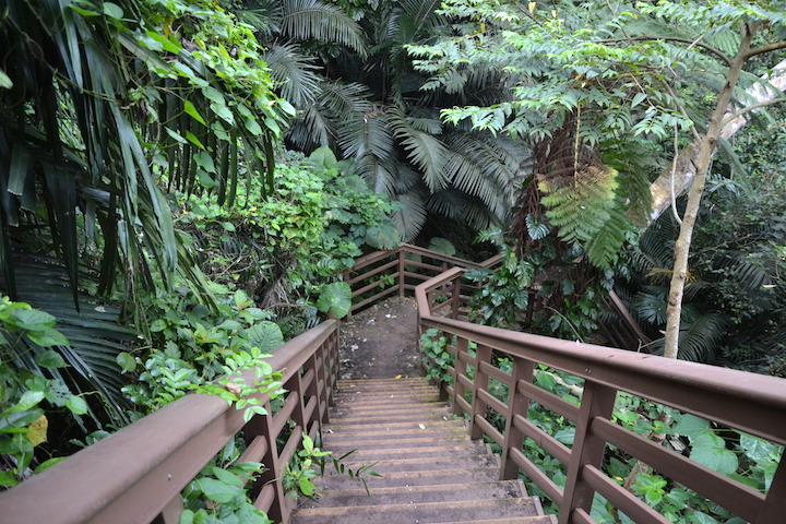 「バンナ公園」の階段