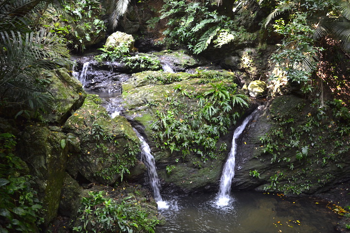 「バンナ公園」の滝