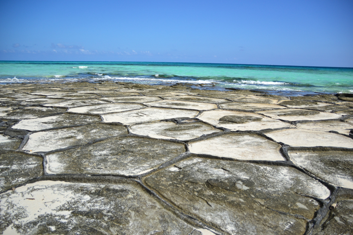 久米島、エメラルドグリーンの海に広がる畳石 | 記事 | 沖縄旅行・観光 