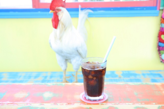 沖縄で珈琲を育てるヒロ・コーヒーファーム