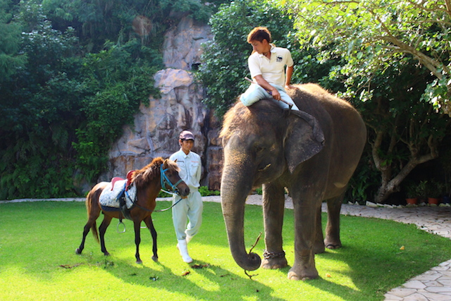 沖縄こどもの国の動物園