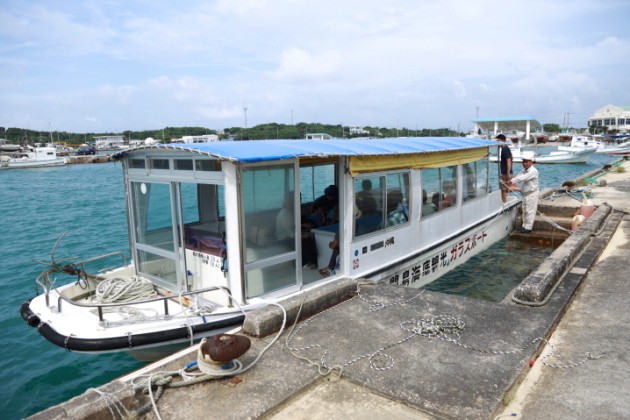 グラスボートで秘密の巨大サンゴ礁を目撃！「池間島海底観光」