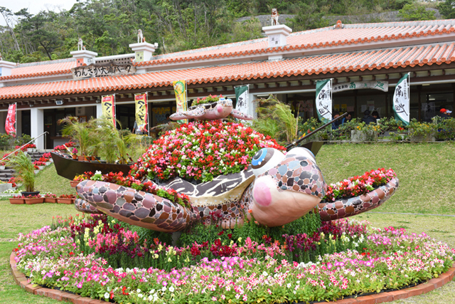 やんばる花街道フラワーフェスティバル2015