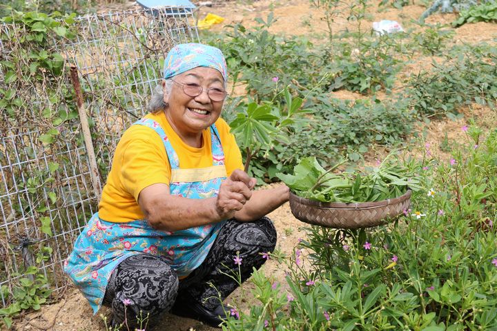 石垣島「まるたか農園」で島野菜の料理体験！　沖縄料理のランチもお楽しみ！