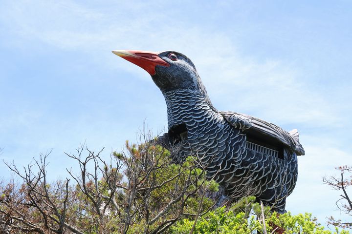 高台にそびえ立つ北部の穴場スポット！「ヤンバルクイナ展望台」から辺戸岬を眺めよう