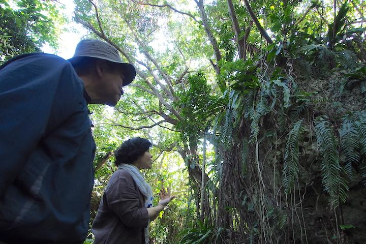 【ズミ宮古島！食・工芸・島めぐりの旅⑤】伊良部島、自然探訪とハーブランチで深呼吸！