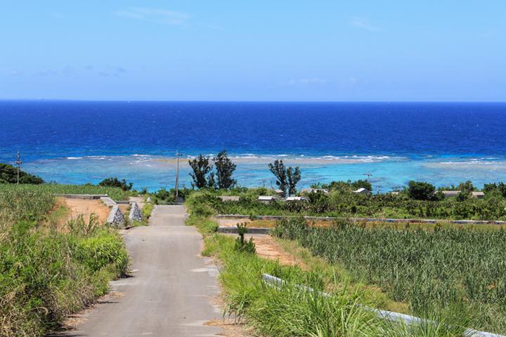 高台から望む絶景を独り占めできる「PANORAMA OCEAN VIEW COTTAGE」（本部町）