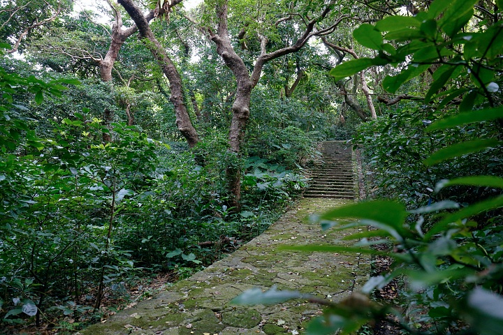 那覇市内にジャングルが？ 手付かずの自然が残る「末吉公園」散策