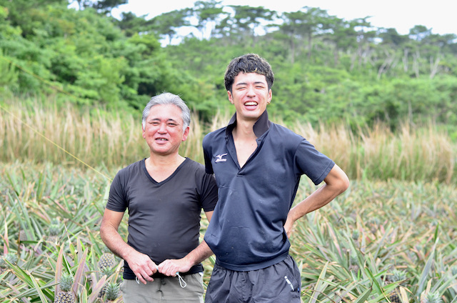 おいしい！ には訳がある。父子で取り組む沖縄産のパイナップル