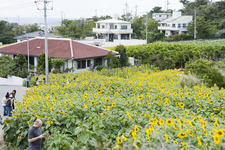 沖縄で話題のエリア「北中城」の魅力に迫る！ おすすめスポット12選